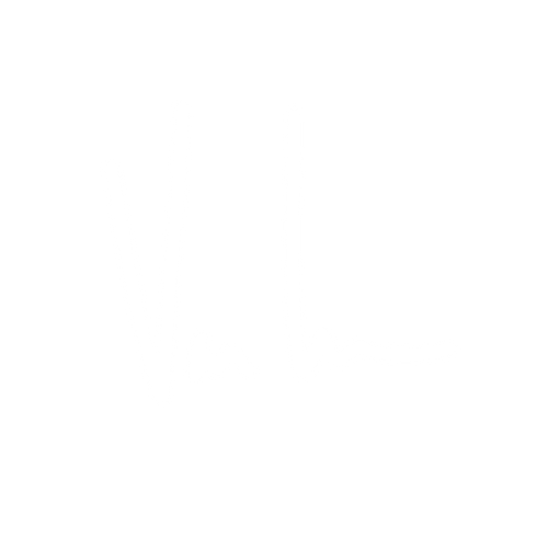 LEWY V LLC